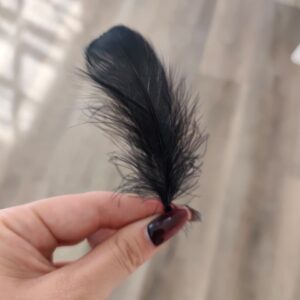 Plumas negras pack
